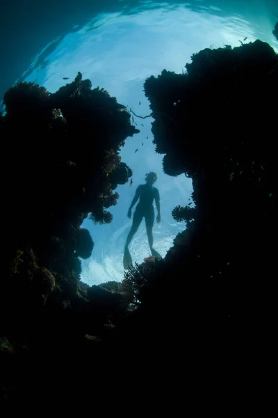 Snorkeler Olha Para Baixo Uma Fenda Recife Coral Raja Ampat — Fotografia de Stock