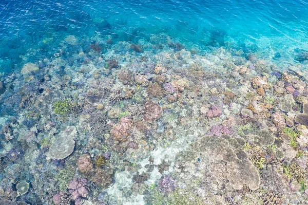 산호가 인도네시아의 노출되는 장면을 공중에서 수있습니다 지역은 생물의 다양성을 보유하고 — 스톡 사진