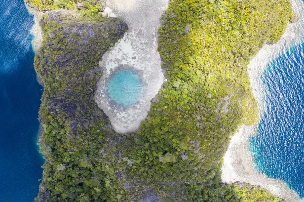 석회암 인도네시아 라자암 아름답고 아름다운 원시림에서 나온다 지역은 놀라운 생물의 — 스톡 사진