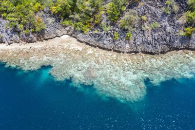 Havadan bakıldığında, Raja Ampat 'ta suların çekildiği yerde sağlıklı mercanların ortaya çıktığı görülüyor. Bu bölge olağanüstü deniz biyolojik çeşitliliğine ev sahipliği yapmasıyla bilinir ve popüler bir dalış ve şnorkelle yüzme merkezidir..