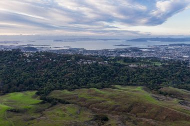 Kış yağmurları, San Francisco Körfez Bölgesi Oakland, Berkeley ve El Cerrito 'nun doğusundaki doğu körfezinin huzurlu tepelerinde yemyeşil çimlerin ve yaprakların yetişmesine neden olur..