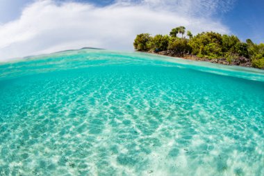 Temiz, ılık su Endonezya 'nın Raja Ampat kentindeki güzel adaları yıkıyor. Bu tropikal bölge muhtemelen deniz biyolojik çeşitliliğinin merkezidir ve dalgıçlar ve şnorkelciler için popüler bir merkezdir..