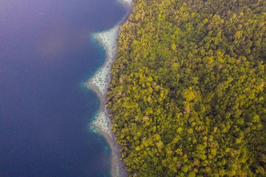 Yukarıdan bakıldığında, Endonezya 'nın Raja Ampat kentindeki pek çok tropikal ada sağlıklı mercan resifleriyle çevrilidir. Bu güzel bölgenin dünyanın deniz biyolojik çeşitliliğinin merkezi olduğu düşünülüyor..