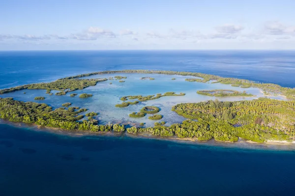 A remote tropical island in the Molucca Sea is fringed by mangrove forest surrounding a shallow lagoon. This type of island serves as a nursery for reef fish and marine invertebrates.