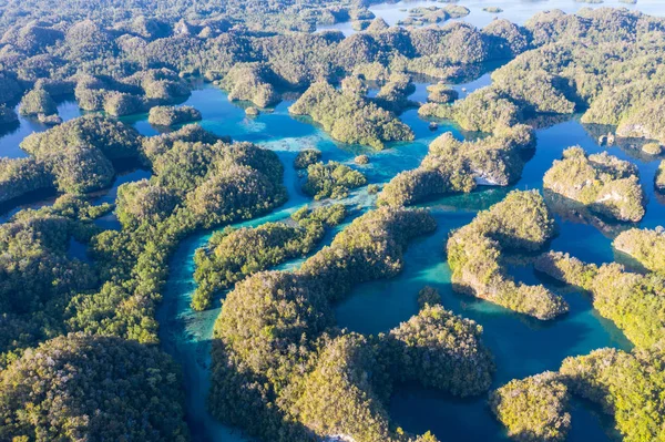 Laberinto Islas Piedra Caliza Encuentra Una Bahía Oculta Raja Ampat — Foto de Stock