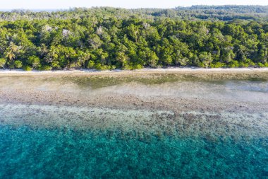 Molucca Denizi 'nde, Endonezya' da uzak bir adada temiz ılık su bir plajı yıkıyor. Bu tropikal bölge inanılmaz deniz biyolojik çeşitliliği nedeniyle Mercan Üçgeni 'nin kalbi olarak bilinir..