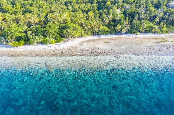 Clear warm water bathes a beach on a remote island in the Molucca Sea, Indonesia. This tropical region is known as the heart of the Coral Triangle due to its incredible marine biodiversity.
