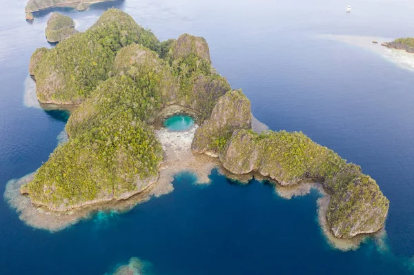 健康的なサンゴ礁は インドネシアのラジャアンパットの中にあるリモート石灰岩の島を縁取ります この素晴らしい地域は その高い海洋生物多様性で有名で ダイバーやシュノーケリングのための人気のある目的地です — ストック写真