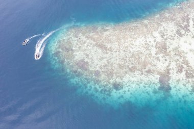 Raja Ampat, Endonezya 'da bir mercan resifi boyunca küçük bir tekne dolaşır. Bu tropikal bölge inanılmaz deniz biyolojik çeşitliliği nedeniyle Mercan Üçgeni 'nin kalbi olarak bilinir..