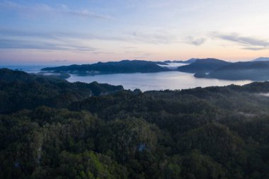Hava perspektifi, Endonezya 'nın kuzey Raja Ampat kentindeki orman adalarını gösteriyor. Bu engebeli, tropik adalar dünyanın en zengin mercan resifleriyle çevrili..