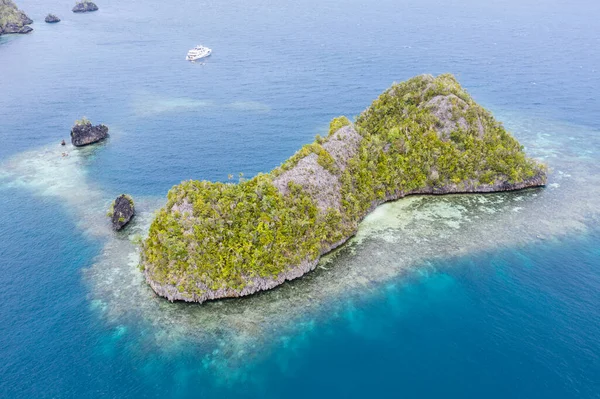 インドネシアのラジャアンパットにある美しい岩の島は 数百万年前の地殻変動によって隆起した古代のサンゴ礁です 島は現在 若く健康的なサンゴ礁に囲まれています — ストック写真