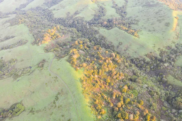 Early Morning Sunlight Shines Green Hills East Bay Northern California — Stock Photo, Image