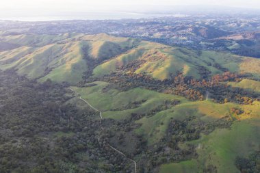 Akşam güneşi, Kuzey Kaliforniya 'daki Doğu Körfezi' nin yeşil tepelerinde parlıyor. San Francisco Körfezi 'nin doğusundaki bu açık alan, yaz boyunca yağan yağmur ve altın nedeniyle kışın yeşildir..
