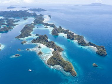Wayag 'ın inanılmaz kireçtaşı adaları Endonezya' nın Raja Ampat kentindeki ekvatorun kuzeyindeki engin mavi Pasifik Okyanusu boyunca uzanır. Bu adalar güzel ve sağlıklı mercan resifleriyle çevrili..