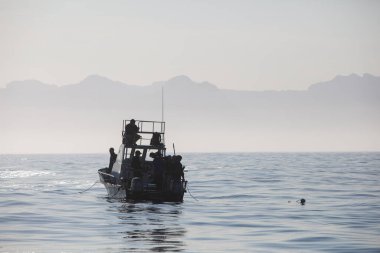 Güney Afrika 'nın False Bay kentindeki sakin sabah sularında film ekibiyle birlikte küçük bir tekne bulundu. Bu körfez, burada mevsimsel olarak kürk fokları avlayan Büyük Beyaz Köpekbalığı topluluğuyla ünlüdür..