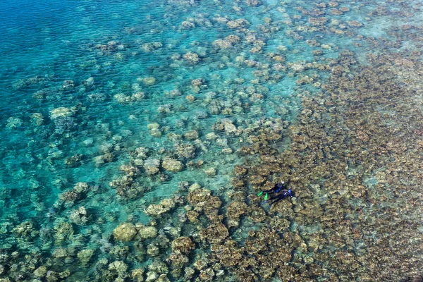 팔라우 공화국에 산호초를 외딴섬에 나라는 생물의 놀라운 다양성으로 유명하며 스쿠버 — 스톡 사진