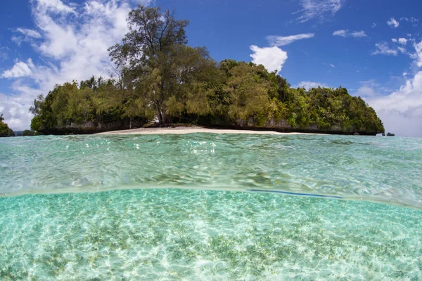 Zonlicht Schijnt Een Ondiepe Zanderige Zeebodem Buurt Van Een Idyllisch — Stockfoto