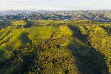 Öğleden sonra ışığı Kuzey Kaliforniya 'nın doğu körfezi bölgesinin yeşil tepelerinde parlıyor, San Francisco Körfezi' nin doğusunda. Bu güzel bölge kışın, ilkbaharda ve yazın yeşildir..