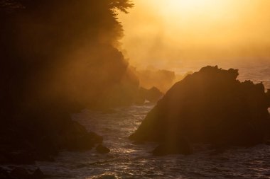 Sonoma County 'de Kuzey Kaliforniya' nın dramatik sahillerinde altın güneş ışığı parlıyor. San Francisco 'nun kuzeyindeki bu batı kıyısı bölgesi vahşi ve doğal güzelliklerle dolu..