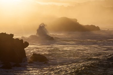 Powerful waves continuously crash on the rocky coastline of northern California. This beautiful region is known for its amazing scenery and is accessible via the Pacific Coast Highway. clipart