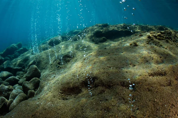 Volcanic Gas Bubbles Porous Rock Island Flores Indonesia Area Part — Stock Photo, Image