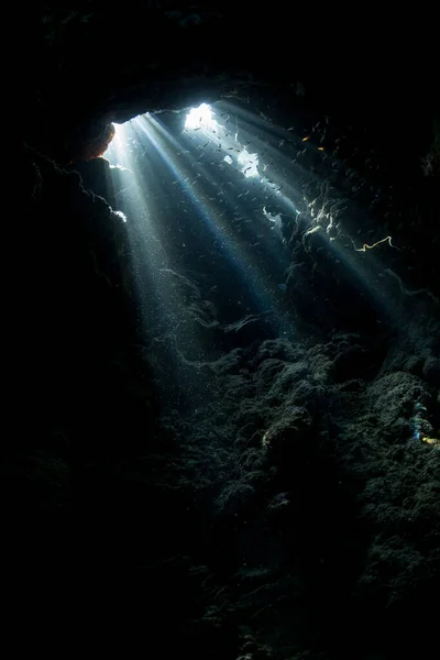 Luz Del Sol Filtra Una Oscura Caverna Submarina Raja Ampat —  Fotos de Stock