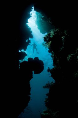 Raja Ampat, Endonezya 'daki derin bir resif yarığının üzerinde bir şnorkelçi sürükleniyor. Bu tropikal bölge inanılmaz deniz biyolojik çeşitliliği nedeniyle dalgıçlar ve şnorkelciler arasında popülerdir..