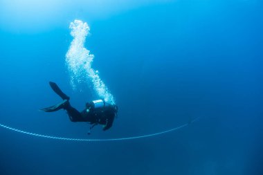 Bir scuba dalgıcı Kaliforniya kıyılarındaki bir teknenin çapa zinciri boyunca iniyor. Dalış Kaliforniya 'da popüler bir spordur çünkü orada yetişen şaşırtıcı ve biyolojik çeşitlilikteki yosun ormanı.