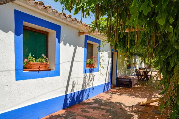 Casa tradicional portuguesa numa aldeia, Alentejo Portugal Europe — Fotografia de Stock