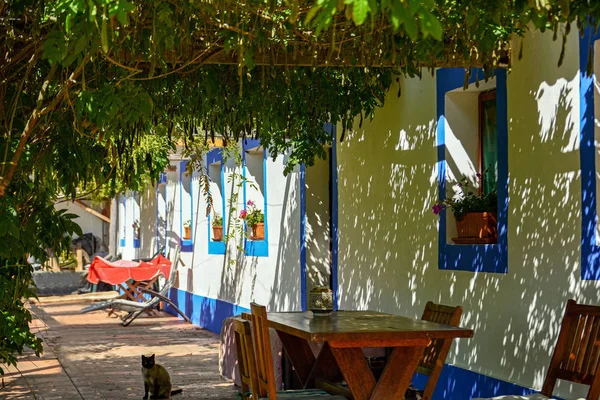 Casa tradicional portuguesa en un pueblo, Alentejo Portugal Europa — Foto de Stock