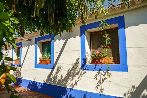 Tradycyjny dom portugalski w wiosce, Alentejo Portugalia Europy — Zdjęcie stockowe
