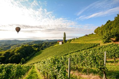 Alan, İtalya Avrupa büyüyen Toskana şarap hasat önce bir winery yakınındaki sıcak hava balonu ile üzüm bağları