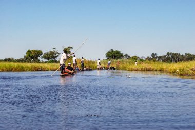 Geleneksel mokoro tekne Nehri yakınındaki Maun, Botsvana Afrika Okavango Deltası ile üzerinde kano gezisi