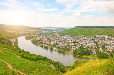 Moselle Vadisi Almanya: Landshut Kalesi: görünümüne tarihi kent Bernkastel-Kues üzüm bağları ve nehir Mosel yaz, Europe
