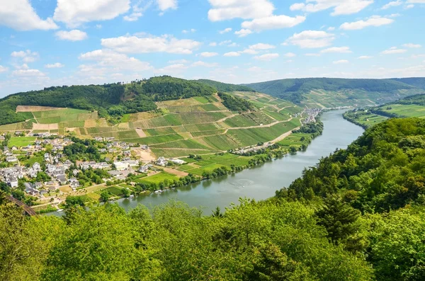 Moselle Valley Tyskland View River Moselle Village Puenderich Marienburg Castle – stockfoto