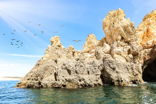 Κρουαζιέρα Στην Ponta Piedade Στους Γλάρους Στις Βραχώδεις Ακτές Και — Φωτογραφία Αρχείου