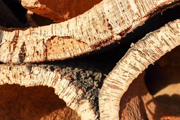 Kora Dębu Korkowego Zebrana Tułowia Dębu Korkowego Quercus Suber Produkcji — Zdjęcie stockowe