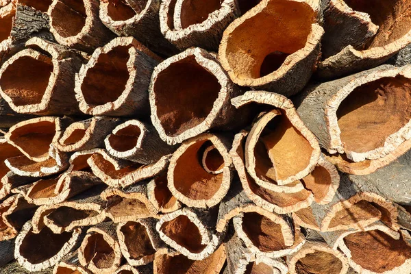 Corteccia Sughero Raccolta Dal Tronco Quercia Sughero Quercus Suber Produzione — Foto Stock