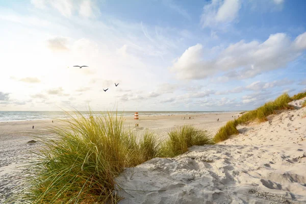 Pohled Krásnou Krajinu Plážovými Písečnými Dunami Blízkosti Henne Strand Severní — Stock fotografie