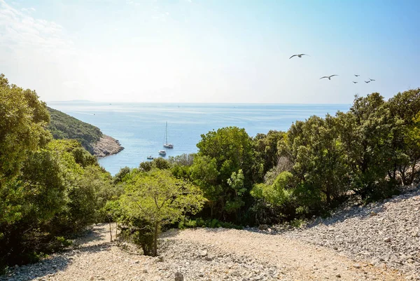 Cres Island Istria Croácia Vista Para Praia Barco Vela Mar — Fotografia de Stock