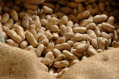 Sivas'tan fıstık doku