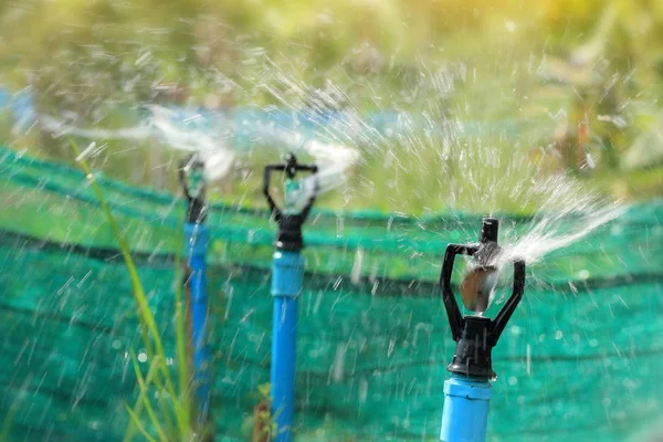 散水、農業分野の潅漑のクローズ アップ — ストック写真