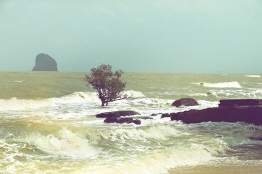 Beach erozyon, değişen nedeniyle sörf ağaçlarda düzeyleri gelgit.