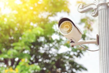 CCTV kamera güvenlik yeşil park vintage kutup.
