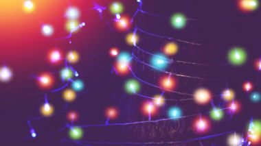 ağaç bahçe renkli açık dize ışıklar sarılı