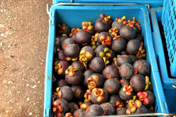 Mangostões em cestos no chão no mercado de frutas na Tailândia — Fotografia de Stock