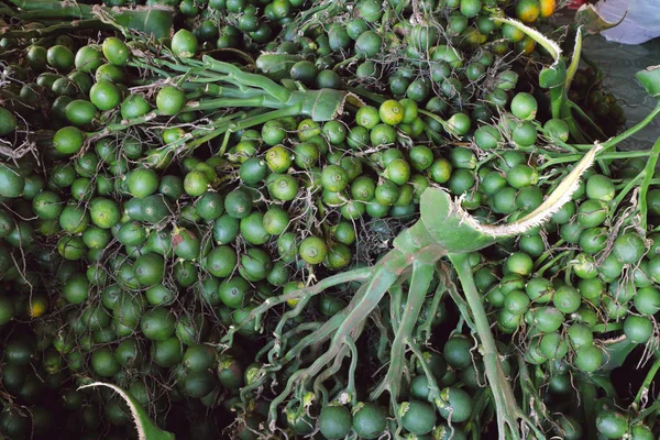 Grupo de nozes betel ou de areca para venda no mercado, Tailândia . — Fotografia de Stock