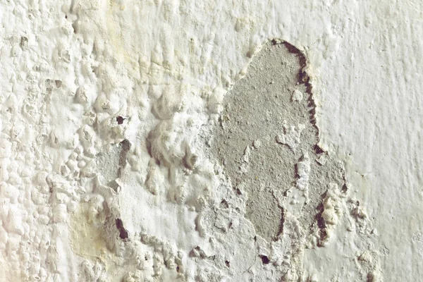 Peeling paint on damp concrete wall — Stock Photo, Image