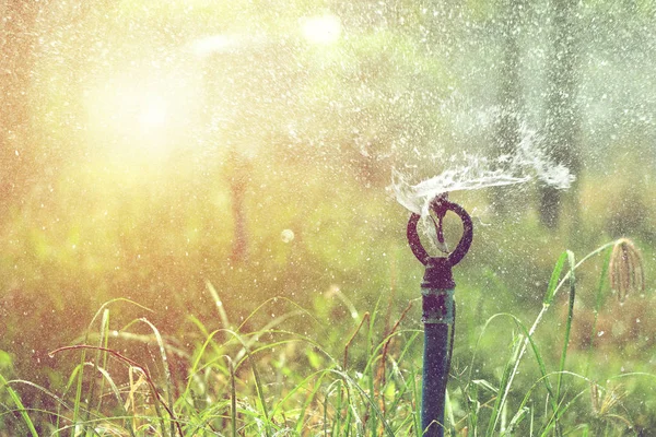 Nahaufnahme der Bewässerung von Sprinklerköpfen in landwirtschaftlichen Pflanzen, Bewässerungssystem — Stockfoto