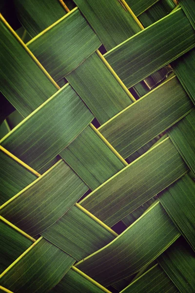 Tessitura modello di foglie di cocco, sfondo texture natura verde — Foto Stock